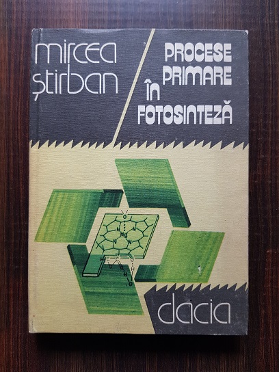 Mircea Stirban – Procese primare in fotosinteza