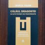 Irvin D. Yalom - Calaul dragostei si alte povesti de psihoterapie
