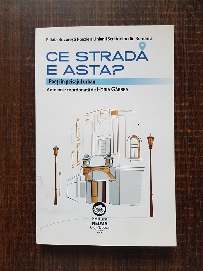 Ce strada e asta? Poeti in peisajul urban