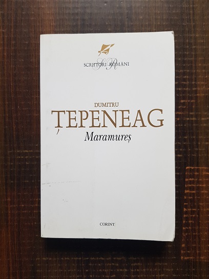 Dumitru Tepeneag – Maramures