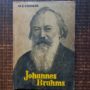 M. S. Druskin - Johannes Brahms