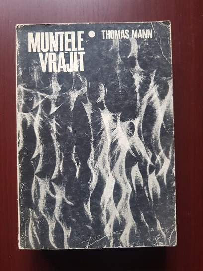 Thomas Mann – Muntele vrajit