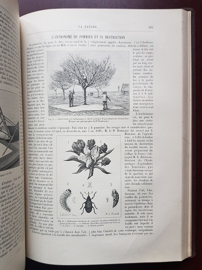 Gaston Tissandier - La Nature. Revue des Sciences et des leurs applications aux arts et a l'industrie. Journal Hebdomadaire Illustre (1893) - imagine 6