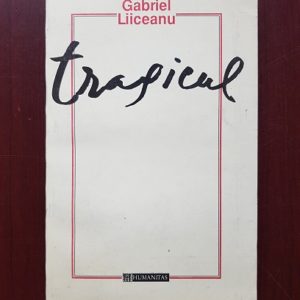 Gabriel Liiceanu - Tragicul