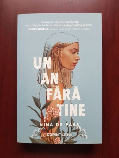 Nina de Pass – Un an fara tine