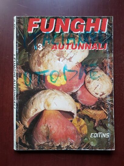 Funghi autunnali, nr. 3