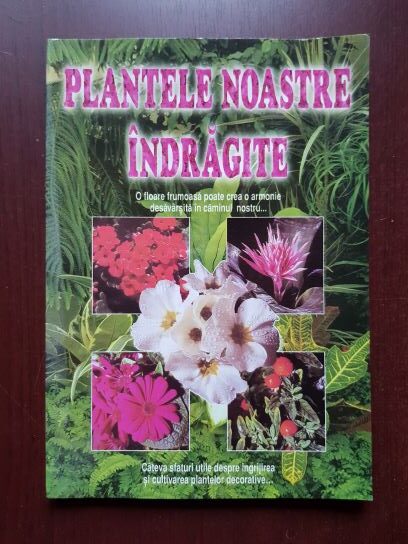 Plantele noastre indragite. O floare frumoasa poate crea o armonie desavarsita in caminul nostru…