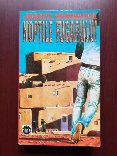 Joseph Wambaugh – Noptile fugarului